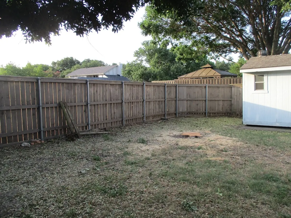 Cleared yard after professional tree removal in Ione